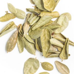 Boldo Leaves, SE - 2018A