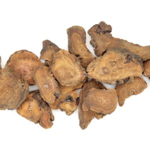 Rhubarb Root, SE - 2118A