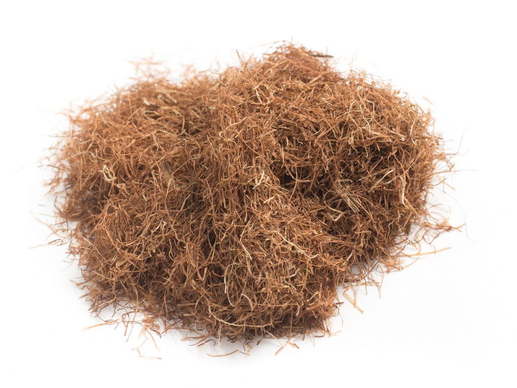 Cornsilk Zea Mays (Corn) Silk Extract