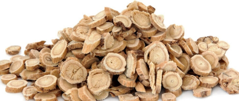 Best herbs for immune system