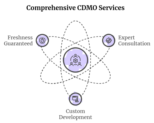 Comprehensive CDMO Serives Comprehensive CDMO Serives