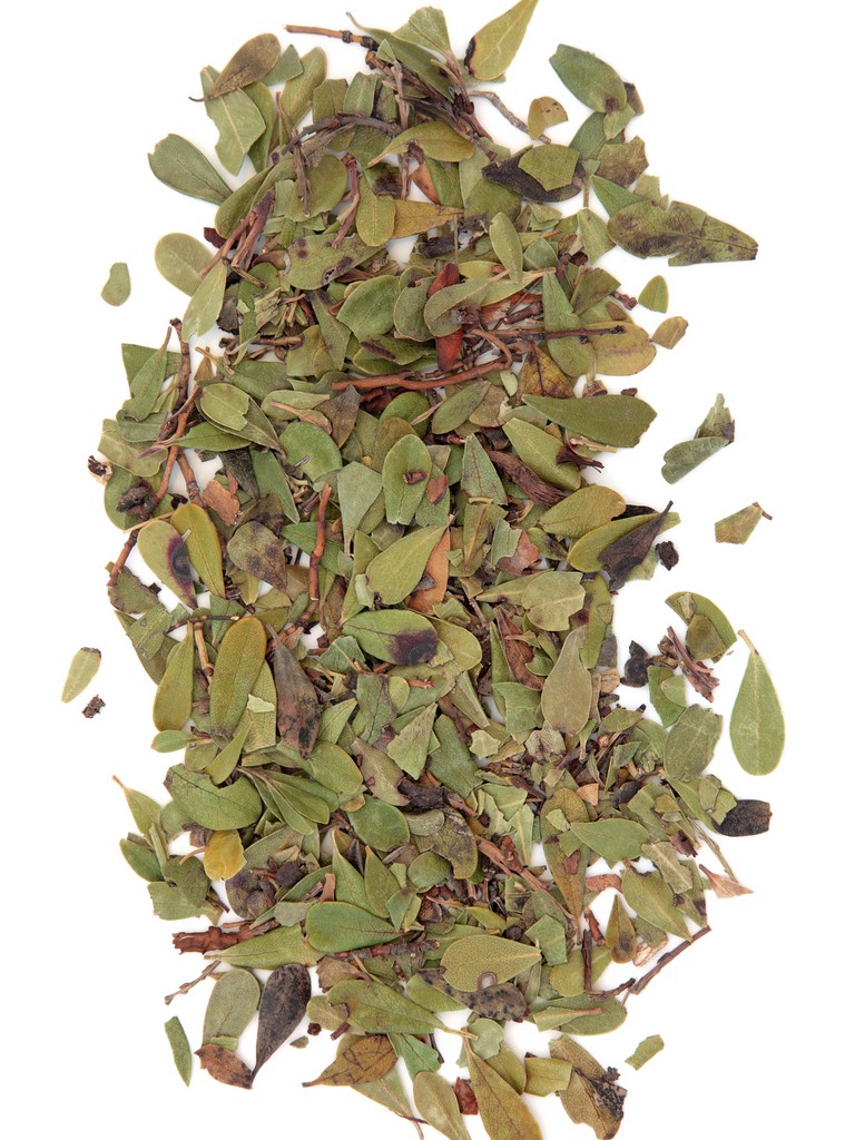 Uva Ursi Leaf Arctostaphylos Uva Ursi Leaf Extract