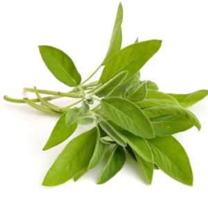 Sage, SE - 2123A
