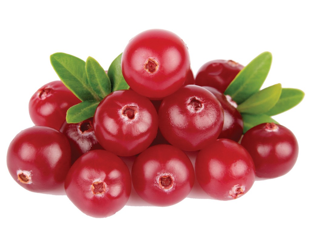 Organic Cranberry in Glycerin - 3244CORG
